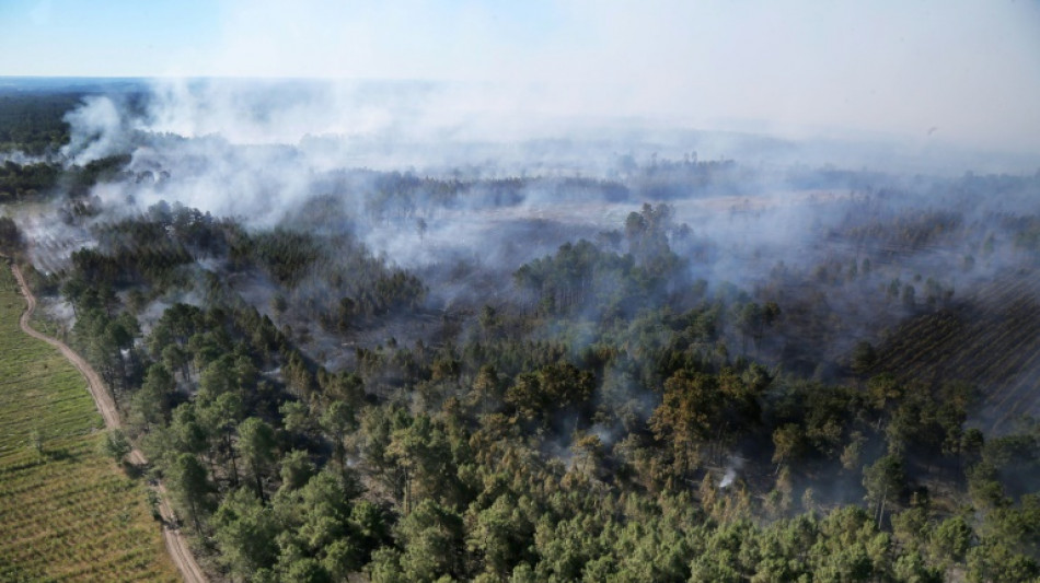 Feux de forêt en Gironde: 3.700 hectares brûlés depuis mardi