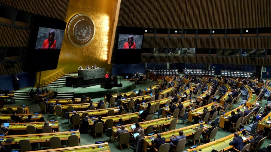 Ukraine: appels multiples à l'arrêt des combats à l'ONU lors d'une séance extraordinaire