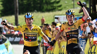 Jumbo tramples opposition as Roglic wins Criterium 