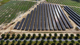 Bei, prestito da 166 milioni per 17 centrali fotovoltaiche