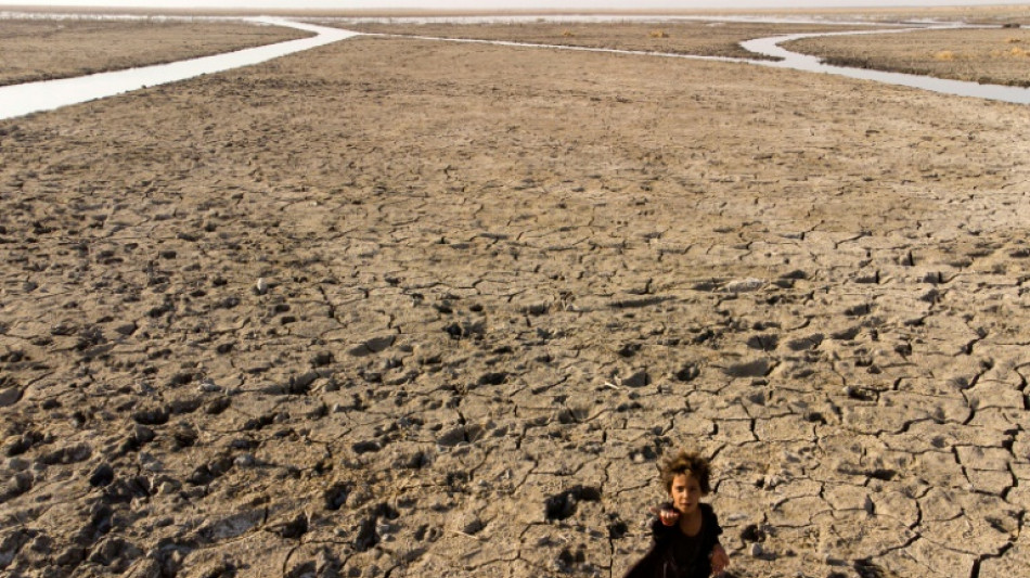 World risks 'collective suicide', UN chief warns climate summit