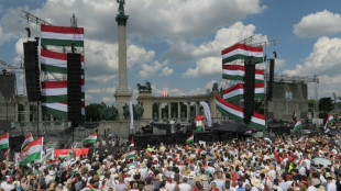 Orban critic draws masses in Hungary on eve of EU vote