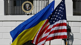 Ukraine flags vie with Christmas decor as Zelensky visits Washington