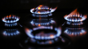 Il gas chiude in rialzo ad Amsterdam (+1,4%)