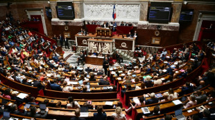 France's hung parliament passes 20-bn-euro inflation package 