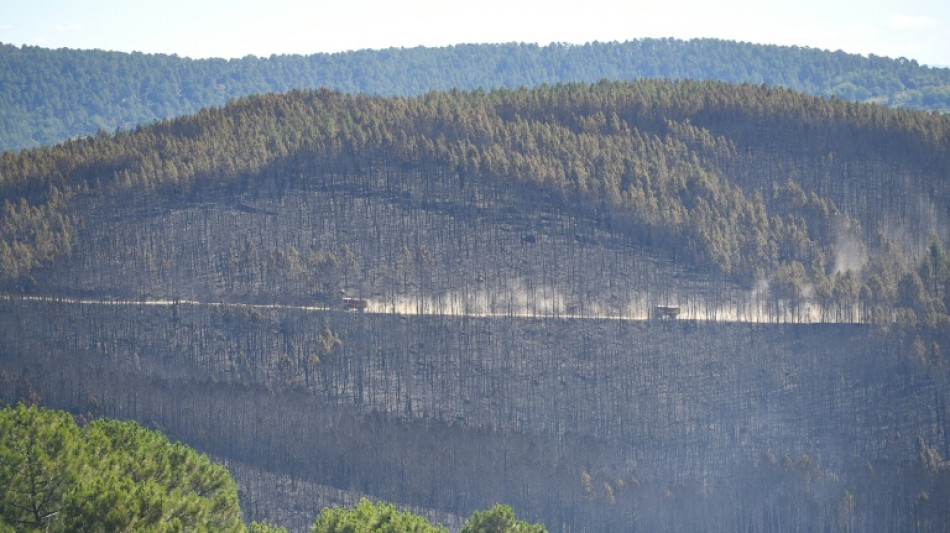 Firefighters contain 'mega-fire' in southern France