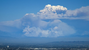 Große Waldbrände bei Los Angeles breiten sich weiter aus