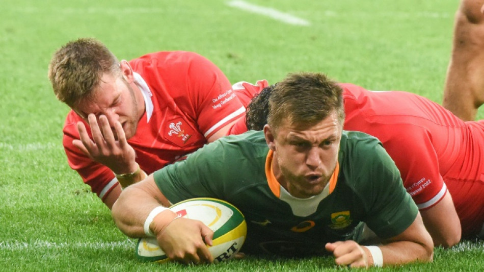 Rugby: l'Afrique du Sud domine le pays de Galles (30-14) et remporte la série de tests