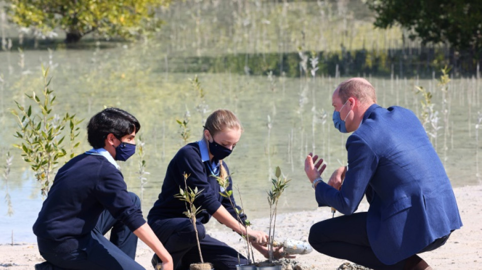 Le prince William aux Emirats pour parler climat