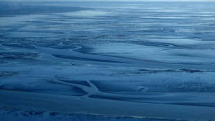 Oberflächentemperatur von Nord- und Ostsee im Sommer leicht über Durchschnitt