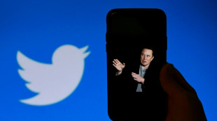 'Overpaying' Musk on deadline to close Twitter deal