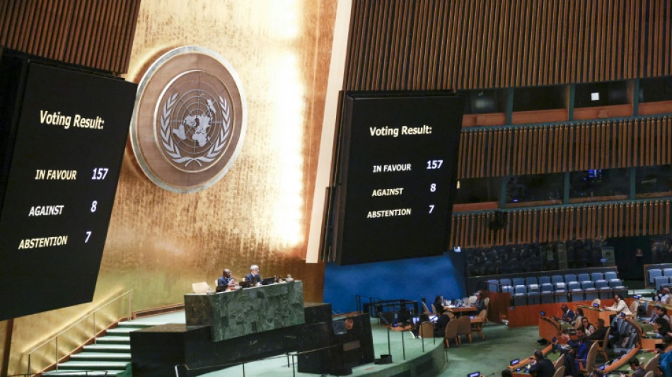 La Asamblea General de la ONU aboga por la creación de un Estado palestino