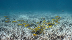 Biodiversité, climat, santé... : les crises liées entre elles, alertent des experts mandatés par l'ONU