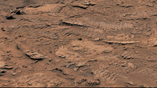 Mars rover finds rippled rocks caused by waves: NASA