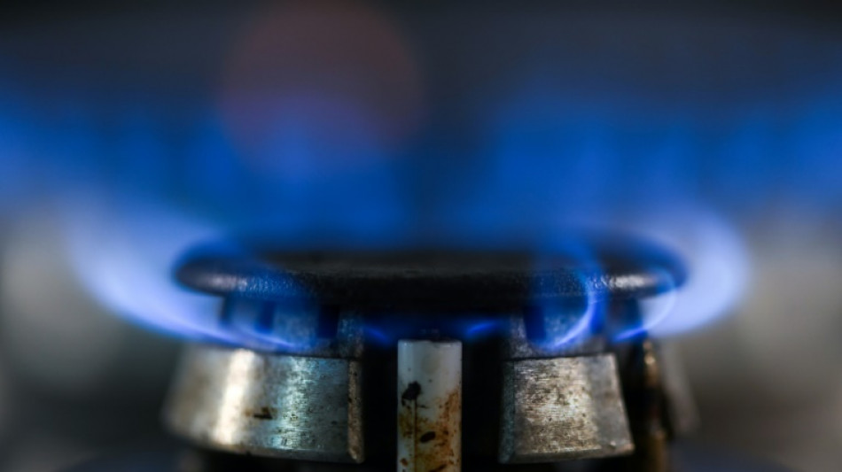 Deutschland soll nationale Gasreserve bekommen