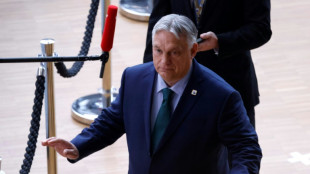Primeiro-ministro húngaro pede 'cessar-fogo' na Ucrânia para acelerar as negociações de paz