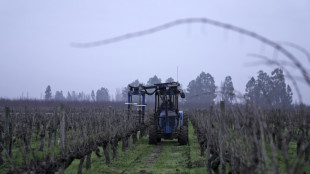 Economía de Chile crece 0,2% en 2023, deprimida por caída del comercio