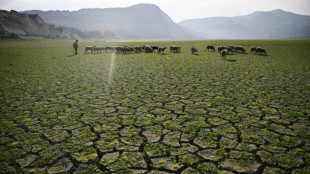 UN warns world's water cycle becoming ever more erratic