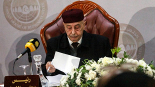 Libya parliament in push to replace interim PM
