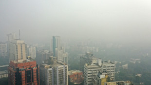 Inde: la capitale New Delhi ferme la majorité des classes en raison de la pollution