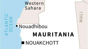 15 killed, dozens missing in migrant wreck off Mauritania: IOM