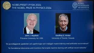 John Hopfield y Geoffrey Hinton ganan el Nobel de Física por sus trabajos sobre el aprendizaje automático