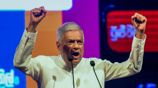 Sri Lanka elige presidente en las primeras elecciones desde el colapso económico