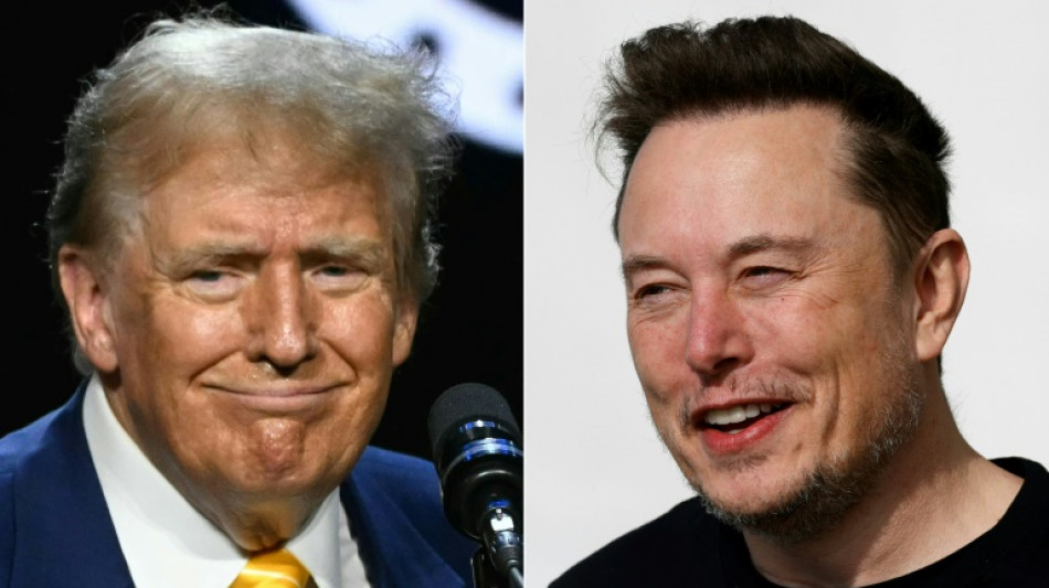 Elon Musk promet une interview "divertissante" avec Donald Trump