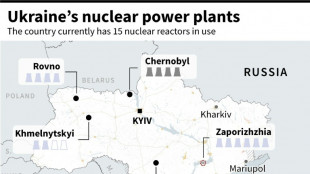 Ukraine: a nuclear-powered nation under fire