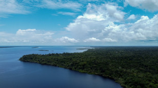 Amazon scientists simulate how warming may impact jungle