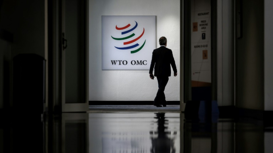 WTO deals still within sight after all-night arm-twisting