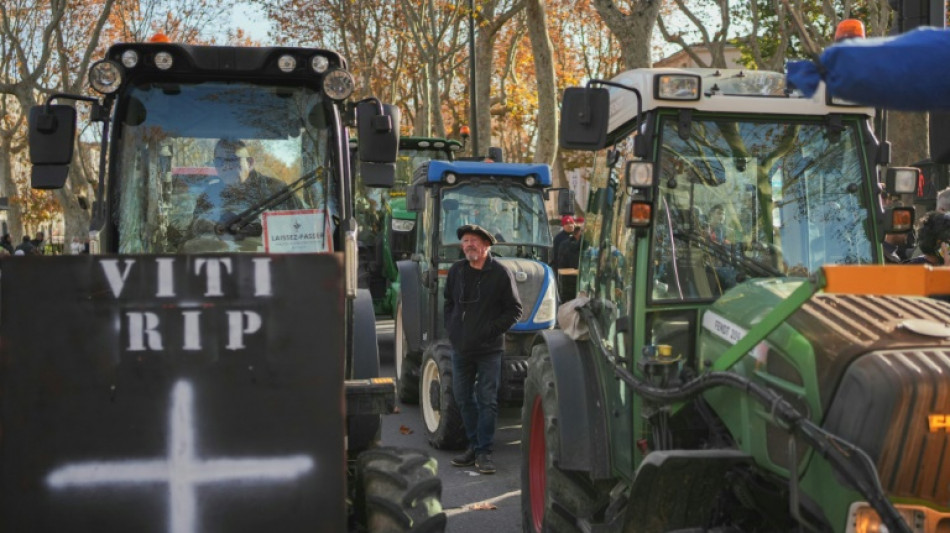 Francia anuncia medidas para calmar tensiones en el sector agrícola