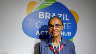 Brasil protegerá la Amazonia con o sin financiación internacional, asegura Marina Silva