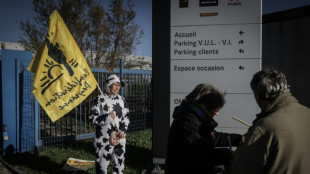 De España a Polonia, firme oposición de los agricultores de la UE a un acuerdo con Mercosur