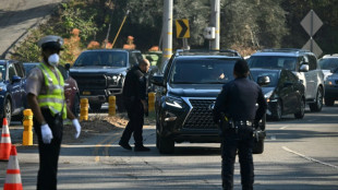 Survivors patrol as looters prey on fire-wrecked Los Angeles 