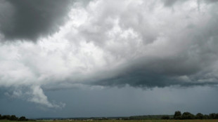 Clouds carry drug-resistant bacteria across distances: study