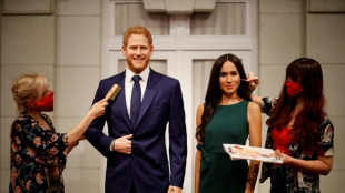 Harry, Meghan to attend queen's jubilee service: biographer