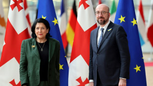 Georgia to apply 'immediately' for EU membership
