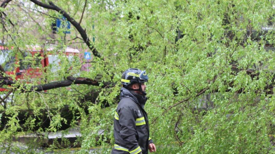 Maltempo: cade un albero a Roma, danneggiati 3 balconi