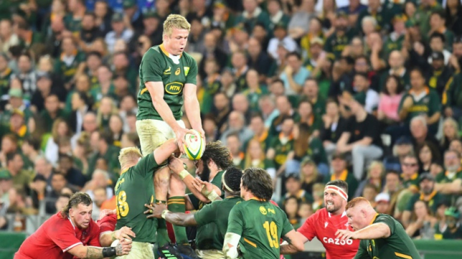 Nienaber expects more 'polished' Springboks against All Blacks