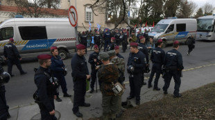 Vier weitere Haftbefehle gegen Extremisten nach Angriffen in Ungarn in Vollzug