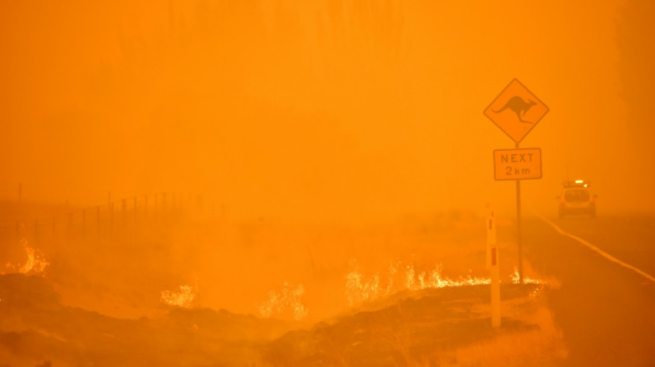 Australia's 'Black Summer' fires affected ozone layer: study