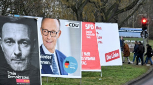 Wahlkampfhelfer von AfD und SPD in Sachsen beleidigt und bedrängt