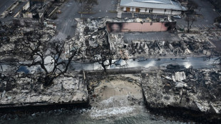 Hawaii starts probe into wildfire handling, as toll hits 67