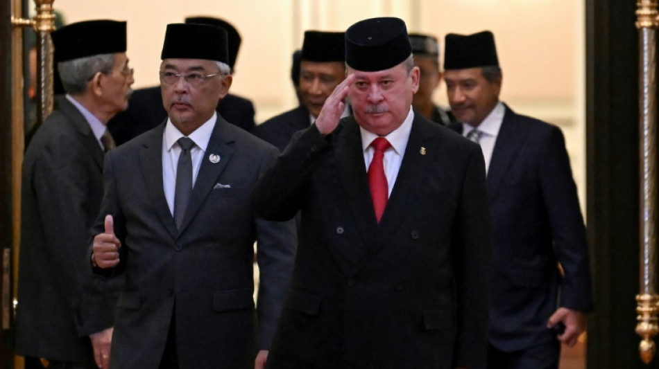 Malaysia picks Sultan Ibrahim to be next king