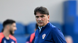 Croatia 'deserve more respect', says coach Dalic