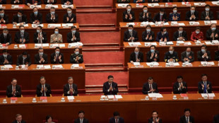 China's Congress to focus on boosting slowing economy