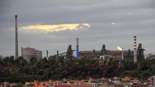 Domani scadenza per Ex Ilva, 13 gli investitori interessati