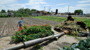 Ucrania y Rusia alcanzan acuerdo con la ONU y Turquía para exportar granos