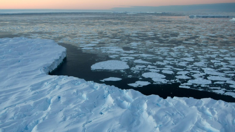 Après des fontes record, la banquise de l'Antarctique retrouve de la vigueur, observent des scientifiques